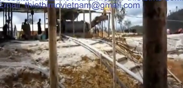 Dây chuyền tuyển vàng