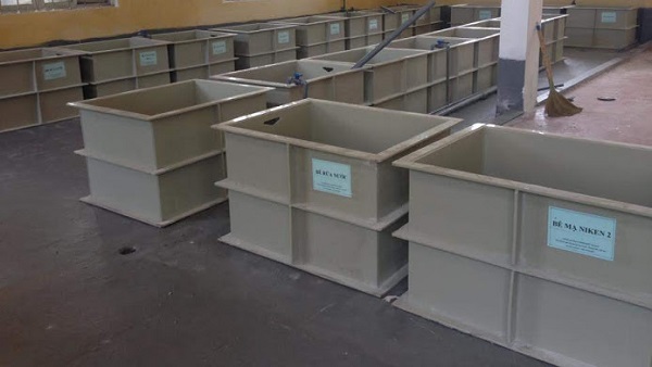 Bể đựng hóa chất